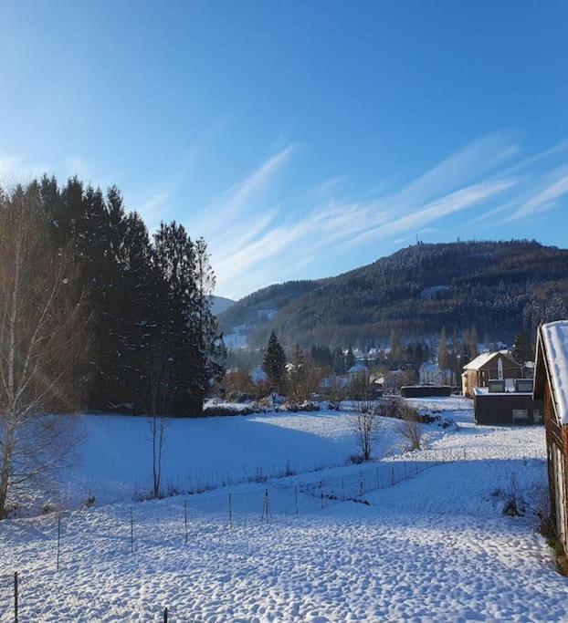 Chalet Les Boudieres 6 Pers Pres Gerardmer Cosy Billard Fraize المظهر الخارجي الصورة