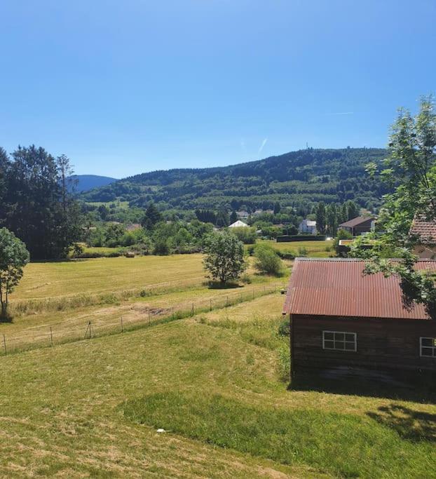 Chalet Les Boudieres 6 Pers Pres Gerardmer Cosy Billard Fraize المظهر الخارجي الصورة